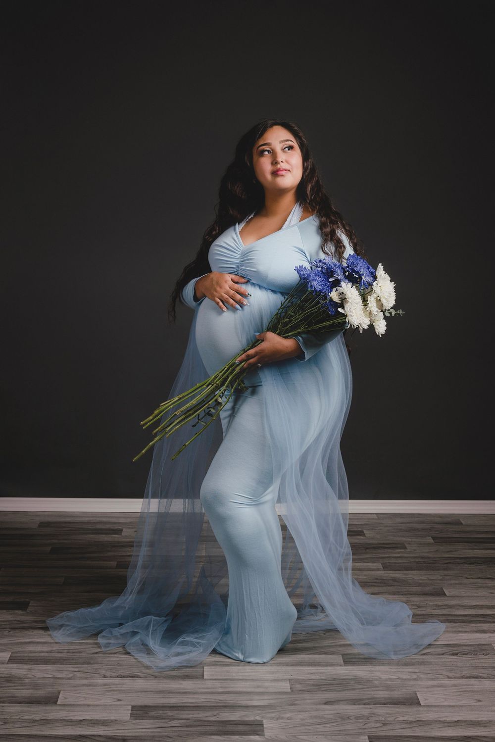 Maternity photography, Jacksonville FL, Carolennys Studios, Fine Art Maternity Photography, Studio Photography, blue fitted maternity dress